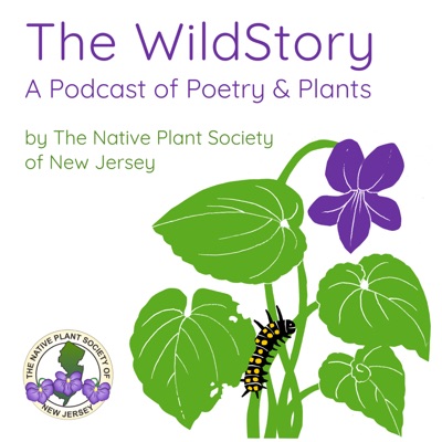 The WildStory: A Podcast of Poetry and Plants by The Native Plant Society of New Jersey The WildStory: A Podcast of Poetry and Plants by The Native Plant Society of New Jersey