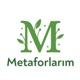 Metaforlarım