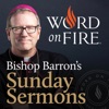 Bishop Barron’s Sunday Sermons - Catholic Preaching and Homilies