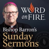 Image of Bishop Barron’s Sunday Sermons - Catholic Preaching and Homilies podcast