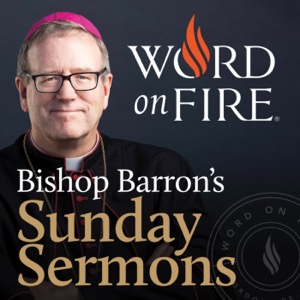 Bishop Barron’s Sunday Sermons - Catholic Preaching and Homilies