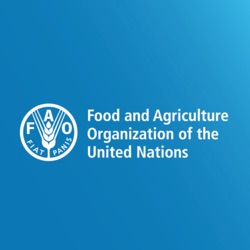 La FAO en Bref - 8 avril 2024