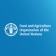 FAO Brief - 6 May 2024