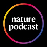 Pregnancy's effect on 'biological' age, polite-birds, and the carbon cost of home-grown veg podcast episode