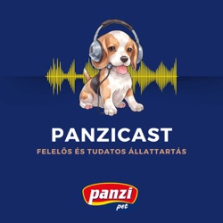 PanziCast
