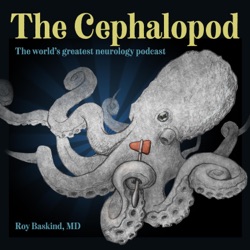 The Cephalopod