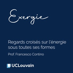 Paléo-Énergétique : apprendre de l'histoire de l'énergie pour un autre imaginaire