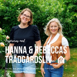 Avsnitt 100 - Så along med Hanna & Rebecca