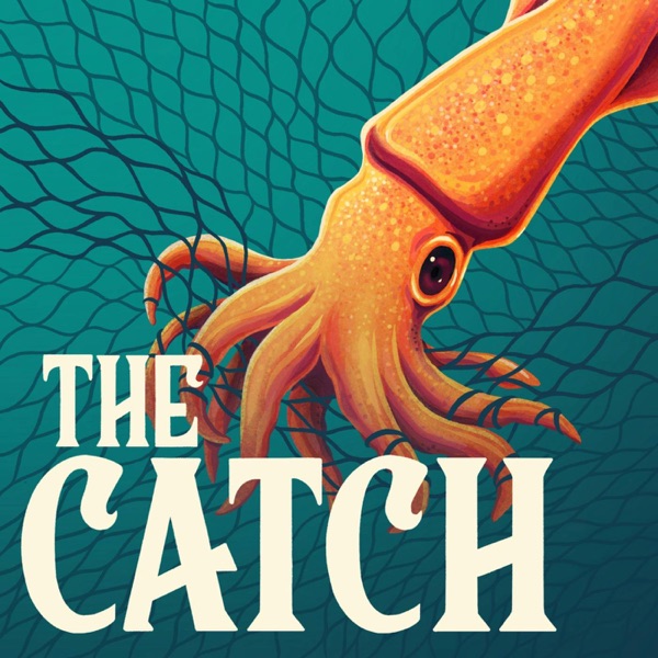 Coming Soon: The Catch photo
