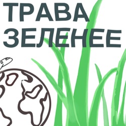 Трава зеленее