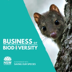 Ep 15: Sustainability in Supply Chains to protect biodiversity