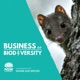 Biodiversity Bites - Saving the Song of the Regent Honeyeater