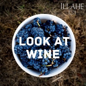 Look At Wine by Illahe Vineyards