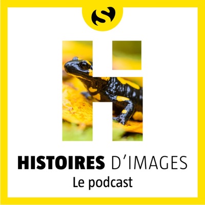 Histoires d'images:la Salamandre