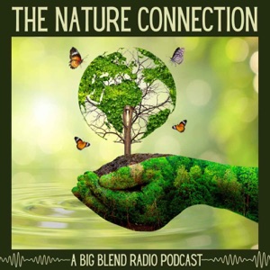 Big Blend Radio: Nature Connection Radio