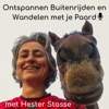 Ontspannen Buitenrijden en Wandelen met je Paard