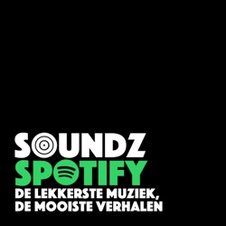 De Soundz Tapes - Rob de Nijs