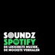 De Soundz Tapes - Henny Vrienten (deel1)