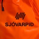 Sjóvarpið