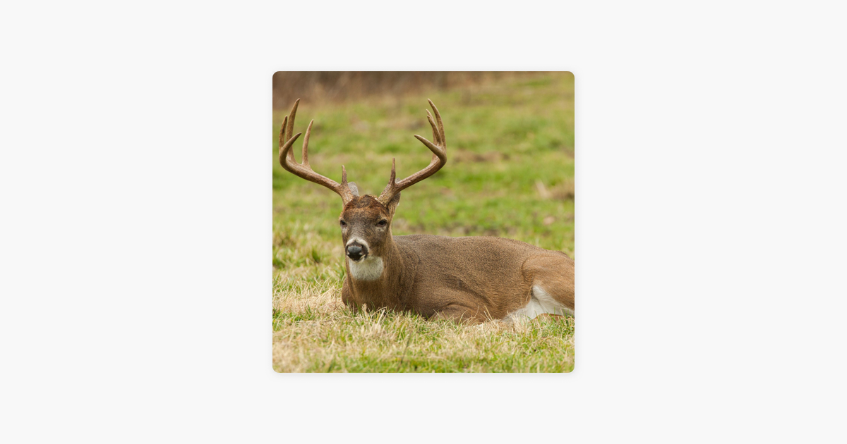 ‎Living The Dream Outdoors New Missouri Deer Season and Regulations