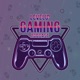 Level Up Gaming Podcast!