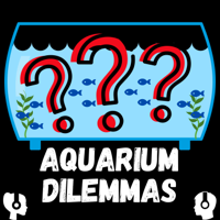 Aquarium Dilemmas podcast