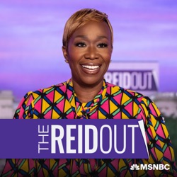 BONUS: Joy Reid on Into America