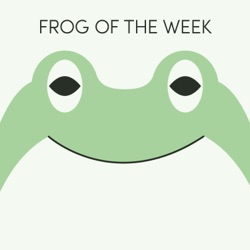 Green Tree Frog | Week of January 29th