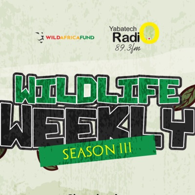Wildlife Weekly:Wildlife Weekly
