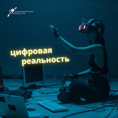 Цифровая реальность:Координационный центр доменов .RU/,РФ