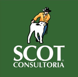 Scot Consultoria:Scot Consultoria