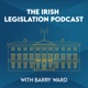 S2 Ep5: Oireachtas Committee on Gender Equality