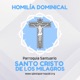 Homilia Dominical, Parroquia Santo Cristo de los Milagros, Carolina P.R.