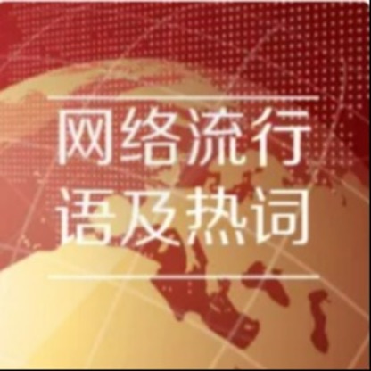 2010-2033年网络流行语及热词释注读本