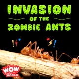 Invasion of the Zombie Ants (1/22/24)