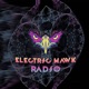 Electric Hawk Radio