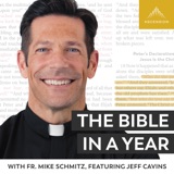 Image of The Bible in a Year (with Fr. Mike Schmitz) podcast