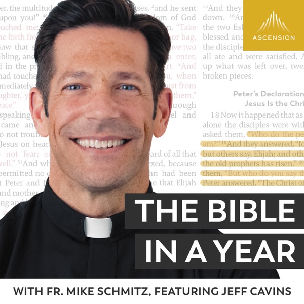 The Bible in a Year (with Fr. Mike Schmitz)