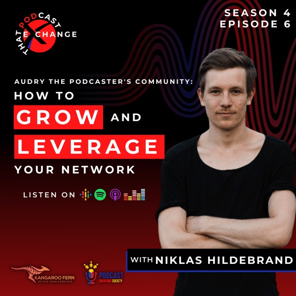 29: Audry The Podcaster's Community: How to Grow and Leverage Your Network | Niklas Hildebrand photo