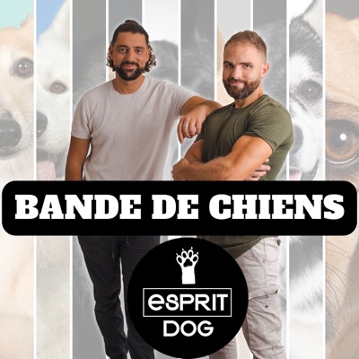 Bande de Chiens !