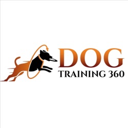 Dog Talk Where we train through the eyes of our dogs