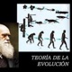 Teorías De La Evolución