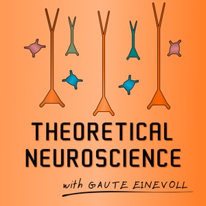 Theoretical Neuroscience Podcast