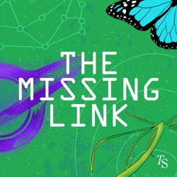 The Missing Link