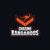 Chasing Kangaroos  artwork