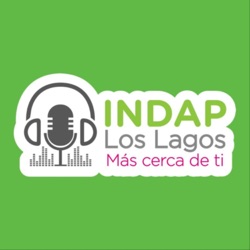 Episodio 04: Programa de Asociatividad Económica (PAE) y la importancia de la Asociatividad con la profesional de INDAP Los Lagos Andrea Matus