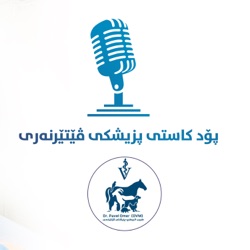 ئەڵقەی 49⛓️/ سەندیکای پزیشکانی ڤێتێرنەری چیە؟پێشتر ناوی چی بوە؟ بۆچی گرنگە کۆنگرە بکرێت؟ و چۆن دەکرێ؟
