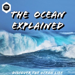 The Ocean Explained