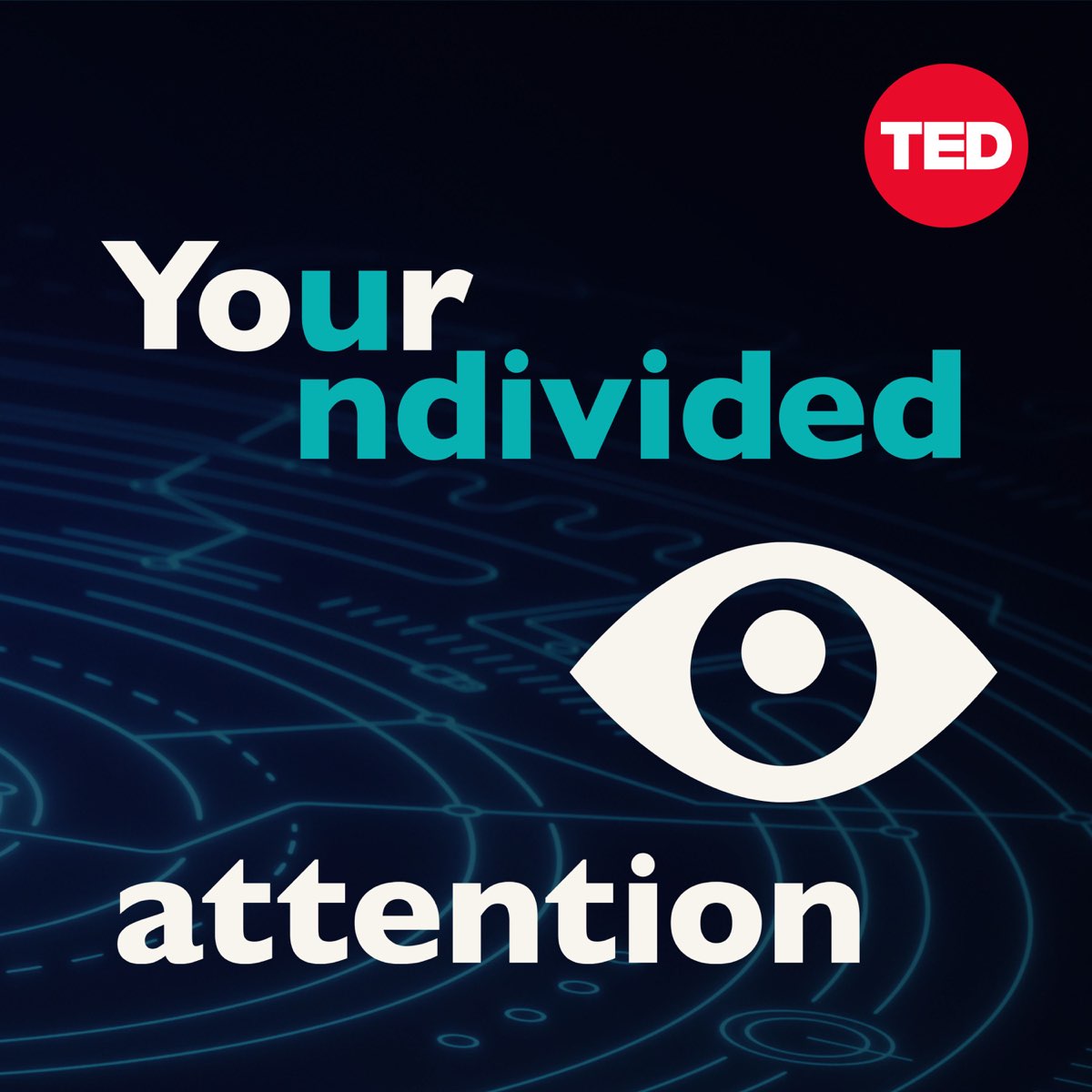 Your Undivided Attention Podcast Apple Podcasts