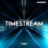 Timestream - Wonkybot